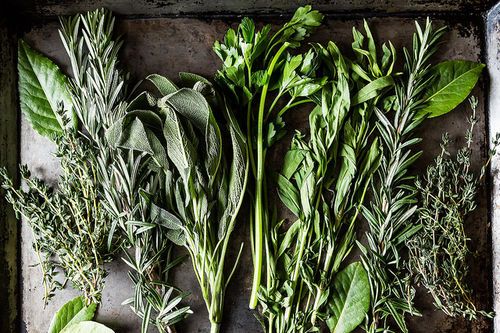 Herb Preserving 101